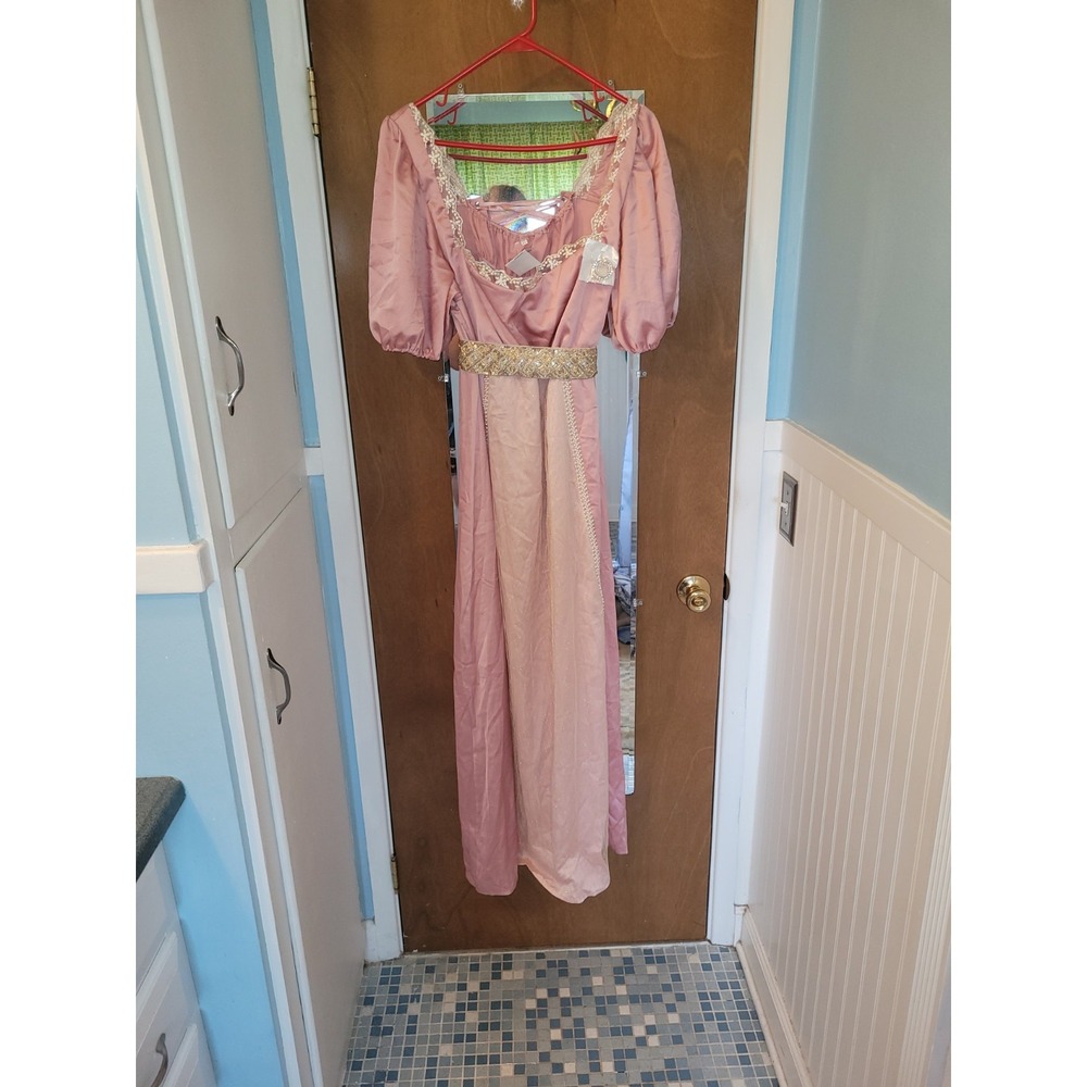 Womens XXL Medieval Maiden Renaissance Princess Halloween Costume Cosplay Pink